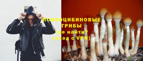спайс Верхний Тагил