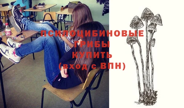 гидропоника Верея
