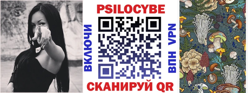 Псилоцибиновые грибы GOLDEN TEACHER  ОМГ ОМГ ссылка  Шадринск 